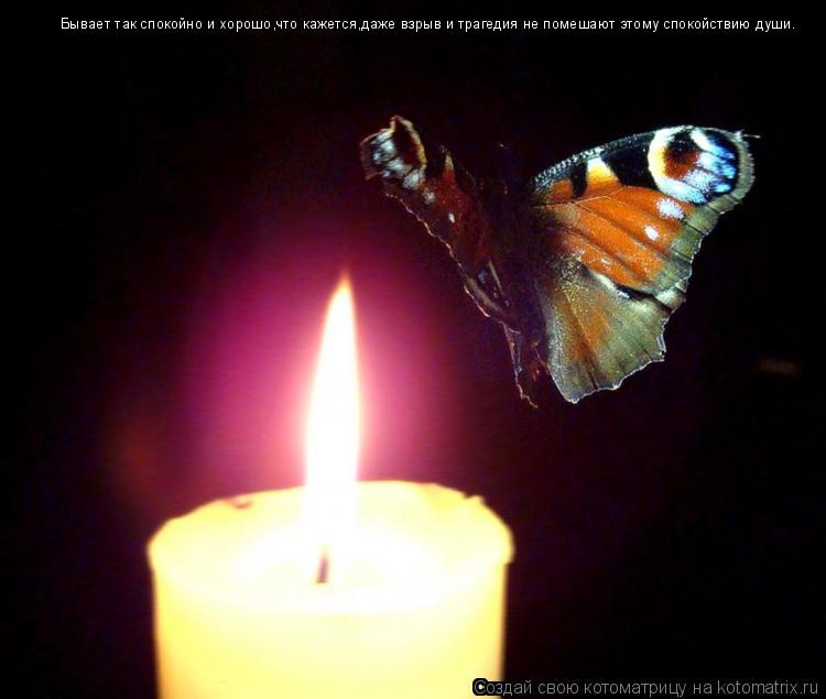 Бывает так спокойно и хорошо,что кажется,даже взрыв и трагедия не помешают этому спокойствию души.... Котоматрица: Бывает так спокойно и хорошо,что кажется,даже взрыв и трагедия не помешают этому спокойствию души.