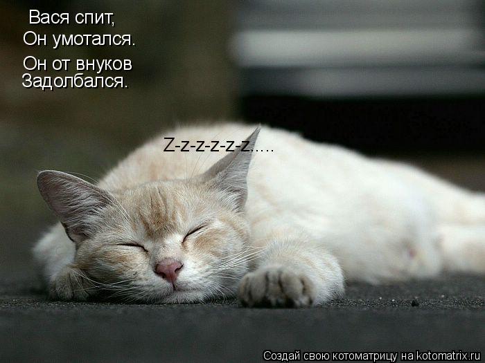 Вася спит, Он умотался. Он от внуков Задолбался. Z-z-z-z-z-z........ Котоматрица: Вася спит, Он умотался. Он от внуков Задолбался. Z-z-z-z-z-z.....