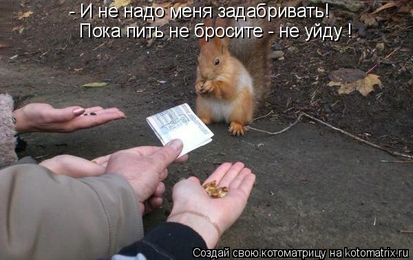 - И не надо меня задабривать! Пока пить не бросите - не уйду !... Котоматрица: - И не надо меня задабривать! Пока пить не бросите - не уйду !