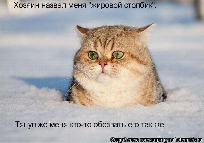 Хозяин назвал меня "жировой столбик". Тянул же меня кто-то обозвать его так же...... Котоматрица: Хозяин назвал меня "жировой столбик". Тянул же меня кто-то обозвать его так же...