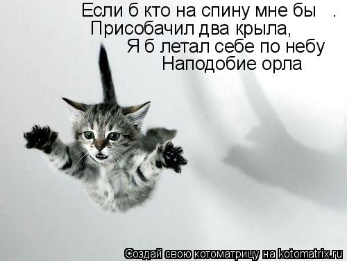 Если б кто на спину мне бы . Присобачил два крыла, Я б летал себе по небу Наподобие орла... Котоматрица: Если б кто на спину мне бы . Присобачил два крыла, Я б летал себе по небу Наподобие орла