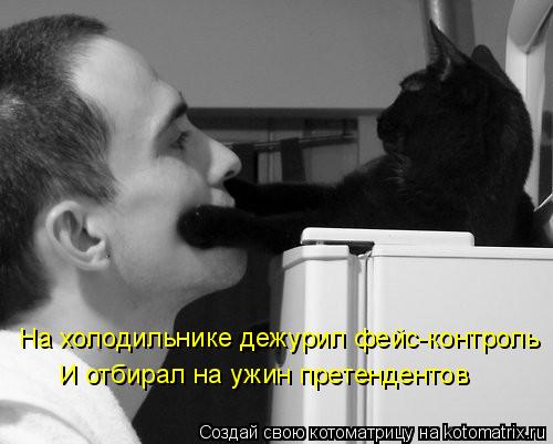 На холодильнике дежурил фейс-контроль И отбирал на ужин претендентов... Котоматрица: На холодильнике дежурил фейс-контроль И отбирал на ужин претендентов