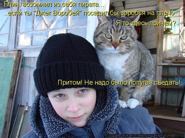 Блин, возомнил из себя пирата... ..если ты "Джек Воробей" посадил бы воробья на плечо Я то здесь прич... Котоматрица: Блин, возомнил из себя пирата... ..если ты "Джек Воробей" посадил бы воробья на плечо Я то здесь причём? Притом! Не надо было попугая съедать!