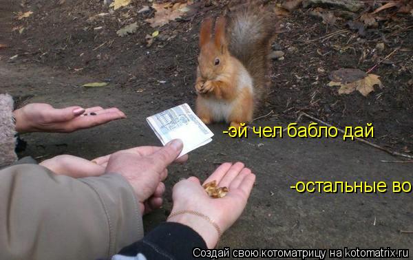 -эй чел бабло дай -остальные вон... Котоматрица: -эй чел бабло дай -остальные вон