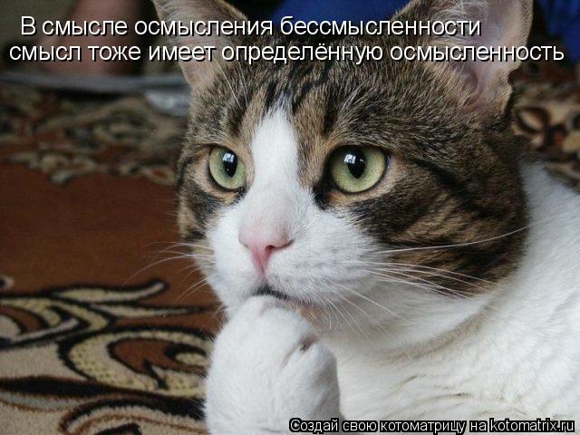 В смысле осмысления бессмысленности смысл тоже имеет определённую осмысленность... Котоматрица: В смысле осмысления бессмысленности смысл тоже имеет определённую осмысленность