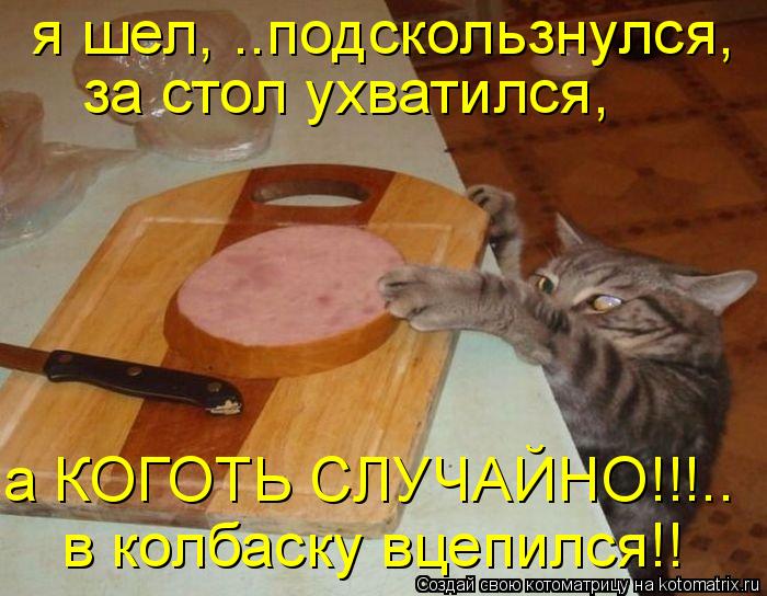 я шел, ..подскользнулся, за стол ухватился, а КОГОТЬ СЛУЧАЙНО!!!.. в колбаску вцепился!!... Котоматрица: я шел, ..подскользнулся, за стол ухватился, а КОГОТЬ СЛУЧАЙНО!!!.. в колбаску вцепился!!