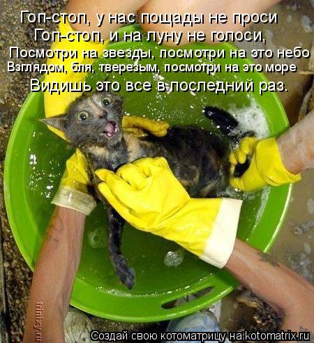 Гоп-стоп, у нас пощады не проси Гоп-стоп, и на луну не голоси, Посмотри на звезды, посмотри на эт... Котоматрица: Гоп-стоп, у нас пощады не проси Гоп-стоп, и на луну не голоси, Посмотри на звезды, посмотри на это небо Взглядом, бля, тверезым, посмотри на э
