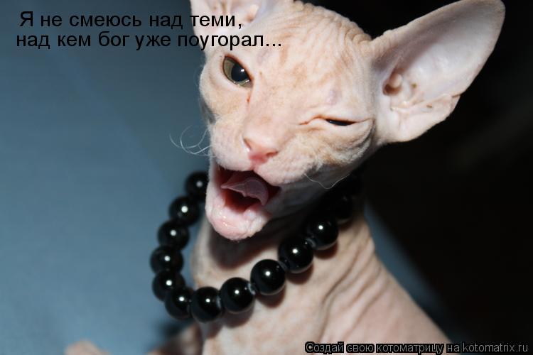 Я не смеюсь над теми, над кем бог уже поугорал...... Котоматрица: Я не смеюсь над теми, над кем бог уже поугорал...