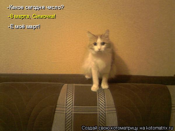 -Какое сегодня число? -8 марта, Симочка! -Е моё март!... Котоматрица: -Какое сегодня число? -8 марта, Симочка! -Е моё март!