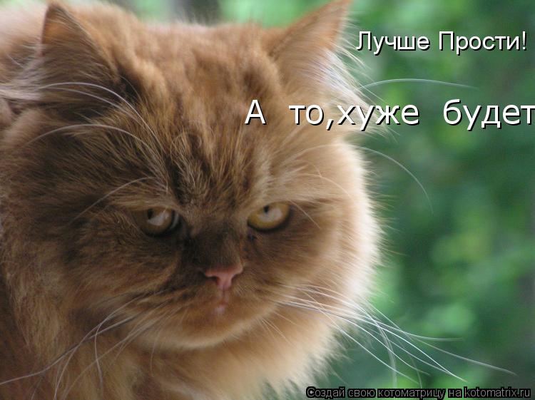 Лучше Прости! Лучше Прости! А то,хуже будет!... Котоматрица: Лучше Прости! Лучше Прости! А то,хуже будет!