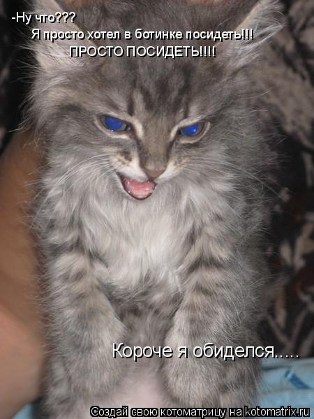 -Ну что??? Я просто хотел в ботинке посидеть!!! ПРОСТО ПОСИДЕТЬ!!!! Короче я обиделся........ Котоматрица: -Ну что??? Я просто хотел в ботинке посидеть!!! ПРОСТО ПОСИДЕТЬ!!!! Короче я обиделся.....