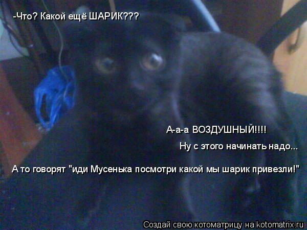 -Что? Какой ещё ШАРИК??? А-а-а ВОЗДУШНЫЙ!!!! Ну с этого начинать надо... А то говорят "иди Мусенька ... Котоматрица: -Что? Какой ещё ШАРИК??? А-а-а ВОЗДУШНЫЙ!!!! Ну с этого начинать надо... А то говорят "иди Мусенька посмотри какой мы шарик привезли!"