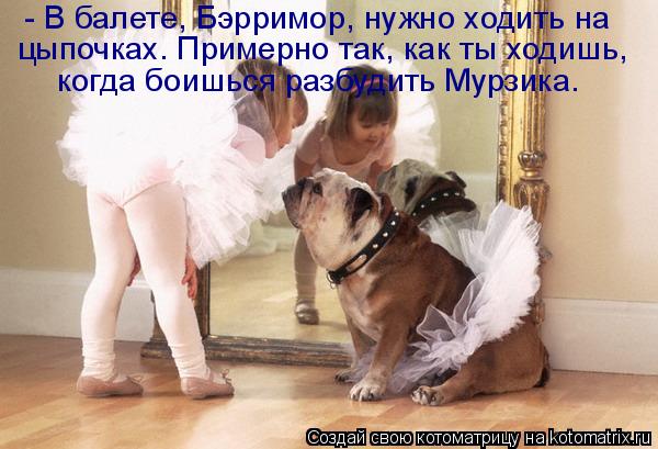 - В балете, Бэрримор, нужно ходить на цыпочках. Примерно так, как ты ходишь, когда боишься разбудить ... Котоматрица: - В балете, Бэрримор, нужно ходить на цыпочках. Примерно так, как ты ходишь, когда боишься разбудить Мурзика.