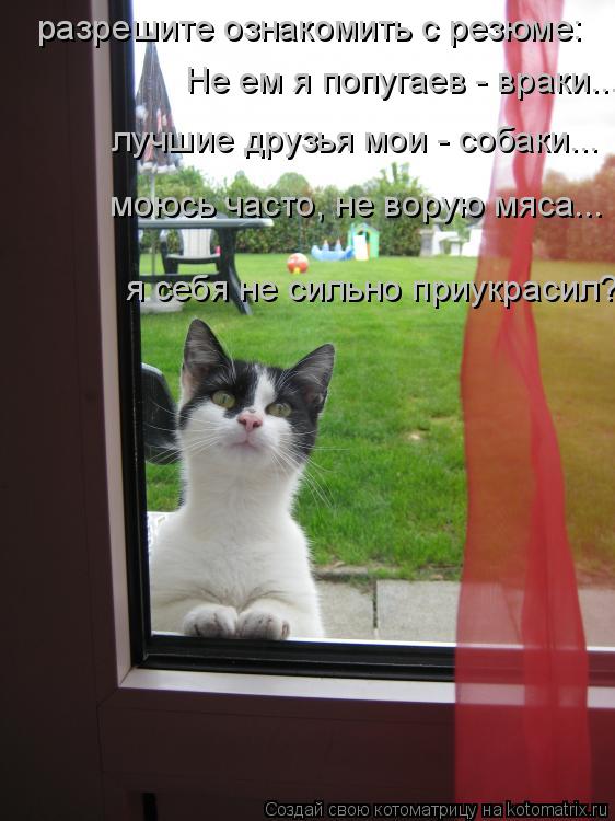 Не ем я попугаев - враки... лучшие друзья мои - собаки... моюсь часто, не ворую мяса... я себя не сил... Котоматрица: Не ем я попугаев - враки... лучшие друзья мои - собаки... моюсь часто, не ворую мяса... я себя не сильно приукрасил? разрешите ознакомить с резюме