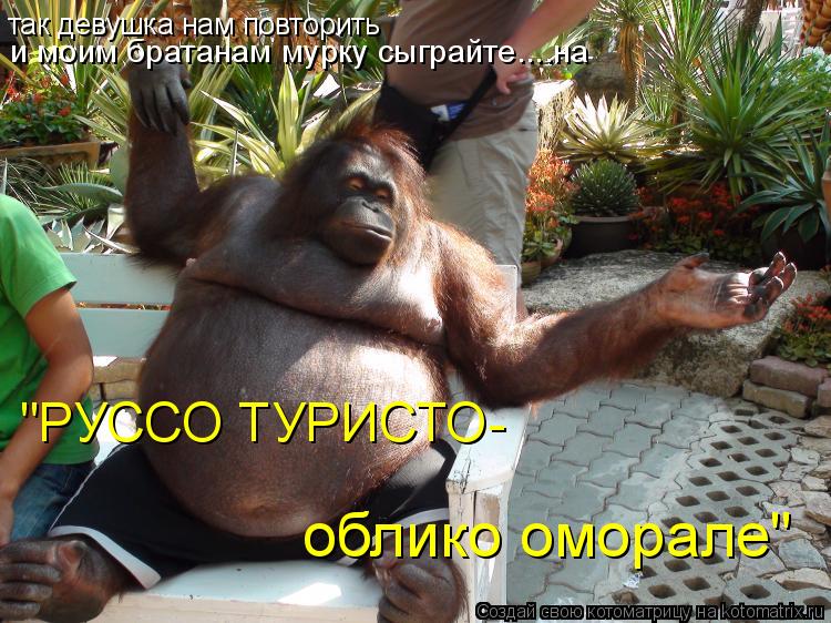 так девушка нам повторить и моим братанам мурку сыграйте....на "РУССО ТУРИСТО- облико оморале"... Котоматрица: так девушка нам повторить и моим братанам мурку сыграйте....на "РУССО ТУРИСТО- облико оморале"