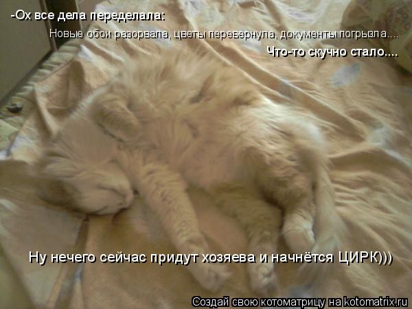 -Ох все дела переделала: Новые обои разорвала, цветы перевернула Новые обои разорвала, цветы переверн... Котоматрица: -Ох все дела переделала: Новые обои разорвала, цветы перевернула Новые обои разорвала, цветы перевернула, документы погрызла.... Что-то скучн