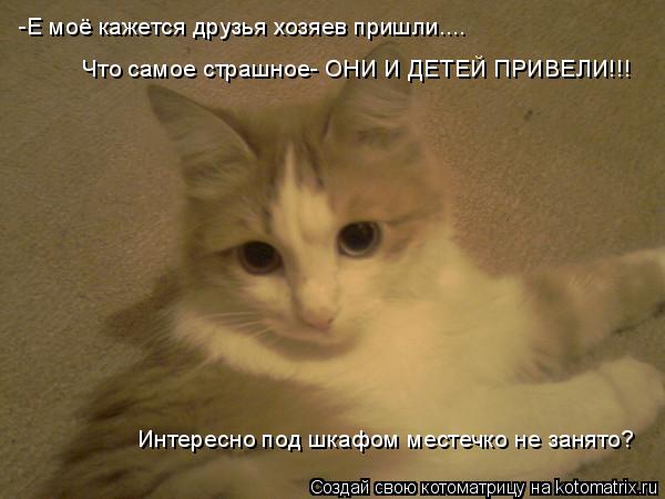 -Е моё кажется друзья хозяев пришли.... Что самое страшное- ОНИ И ДЕТЕЙ ПРИВЕЛИ!!! Интересно под шкаф... Котоматрица: -Е моё кажется друзья хозяев пришли.... Что самое страшное- ОНИ И ДЕТЕЙ ПРИВЕЛИ!!! Интересно под шкафом местечко не занято?