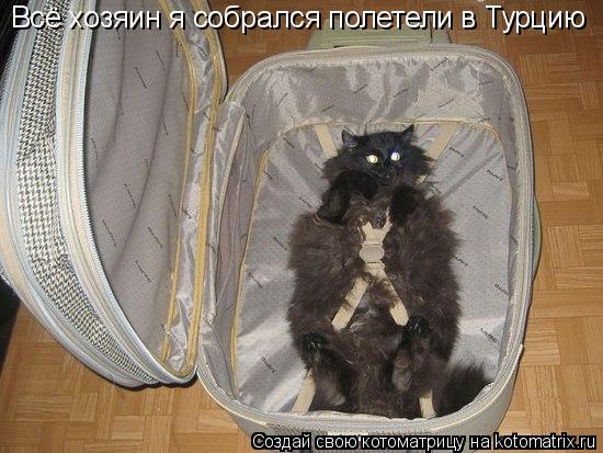 Всё хозяин я собрался полетели в Турцию... Котоматрица: Всё хозяин я собрался полетели в Турцию