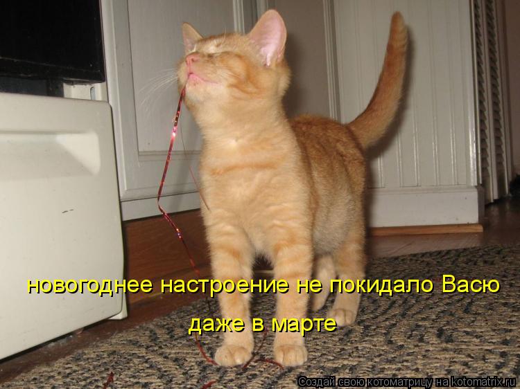 новогоднее настроение не покидало Васю даже в марте... Котоматрица: новогоднее настроение не покидало Васю даже в марте