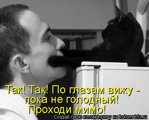 Так! Так! По глазам вижу - пока не голодный! Проходи мимо!... Котоматрица: Так! Так! По глазам вижу - пока не голодный! Проходи мимо!