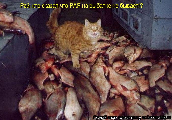 Рай, кто сказал что РАЯ на рыбалке не бывает!?... Котоматрица: Рай, кто сказал что РАЯ на рыбалке не бывает!?
