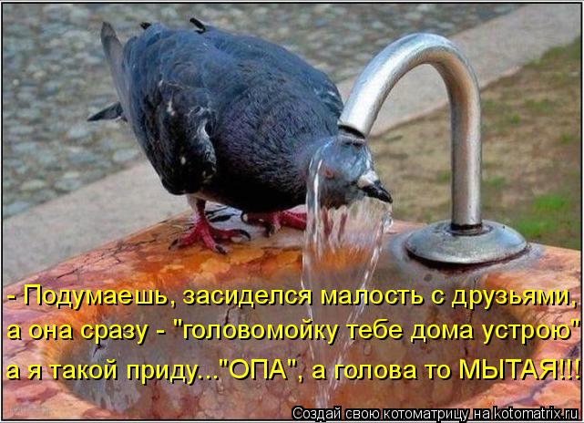 - Подумаешь, засиделся малость с друзьями, а она сразу - "головомойку тебе дома устрою" а я такой при... Котоматрица: - Подумаешь, засиделся малость с друзьями, а она сразу - "головомойку тебе дома устрою" а я такой приду..."ОПА", а голова то МЫТАЯ!!!