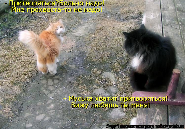 - Муська хватит притворяться! Вижу любишь ты меня! - Притворяться?Больно надо! Мне прохвоста-то не н... Котоматрица: - Муська хватит притворяться! Вижу любишь ты меня! - Притворяться?Больно надо! Мне прохвоста-то не надо!
