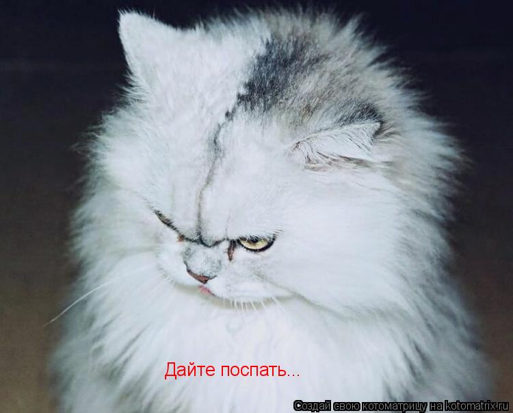 Дайте поспать...... Котоматрица: Дайте поспать...