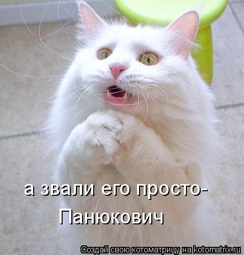 а звали его просто- Панюкович... Котоматрица: а звали его просто- Панюкович
