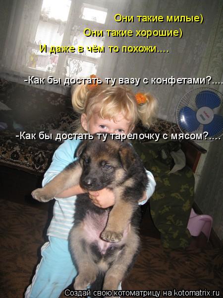 Они такие милые) Они такие хорошие) И даже в чём то похожи.... -Как бы достать ту вазу с конфетами?..... Котоматрица: Они такие милые) Они такие хорошие) И даже в чём то похожи.... -Как бы достать ту вазу с конфетами?.... -Как бы достать ту тарелочку с мясом?....