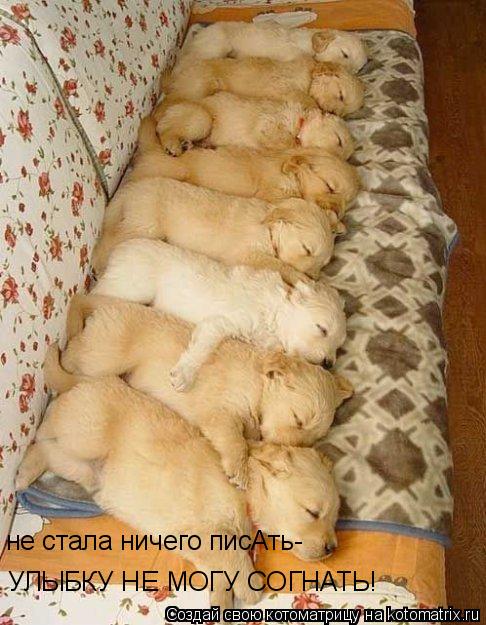 не стала ничего писАть- УЛЫБКУ НЕ МОГУ СОГНАТЬ!... Котоматрица: не стала ничего писАть- УЛЫБКУ НЕ МОГУ СОГНАТЬ!