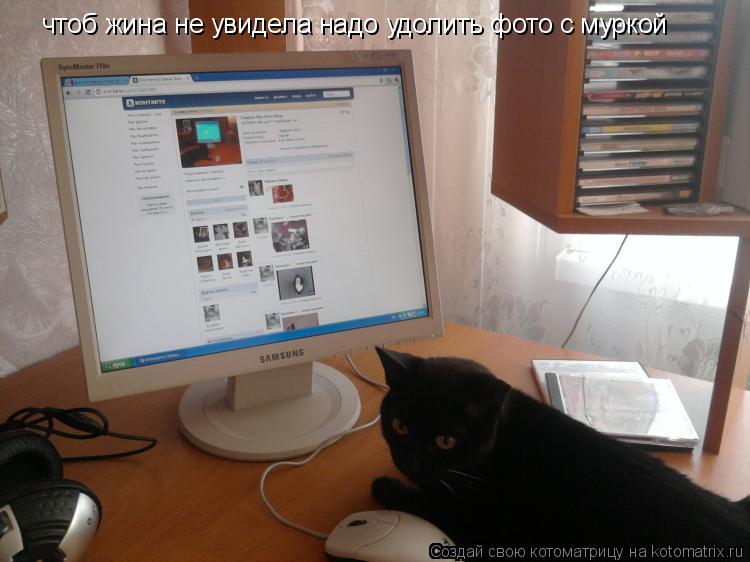 чтоб жина не увидела надо удолить фото с муркой... Котоматрица: чтоб жина не увидела надо удолить фото с муркой