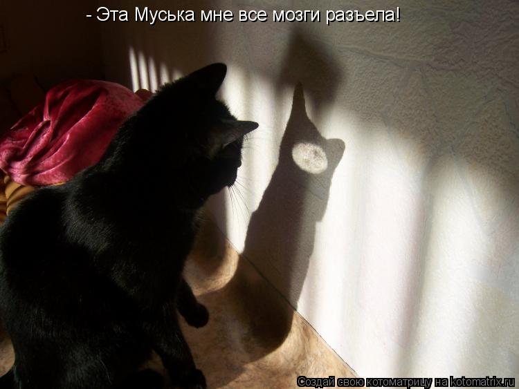 - Эта Муська мне все мозги разъела!... Котоматрица: - Эта Муська мне все мозги разъела!