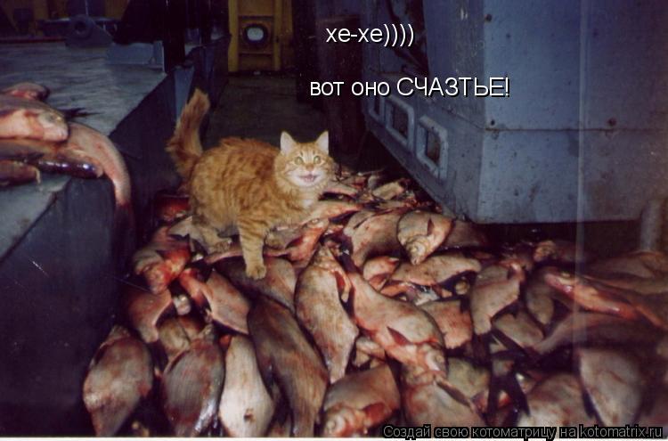 хе-хе)))) вот оно СЧАЗТЬЕ!... Котоматрица: хе-хе)))) вот оно СЧАЗТЬЕ!