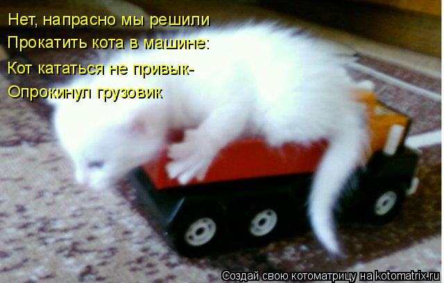 Нет, напрасно мы решили Прокатить кота в машине: Кот кататься не привык- Опрокинул грузовик... Котоматрица: Нет, напрасно мы решили Прокатить кота в машине: Кот кататься не привык- Опрокинул грузовик