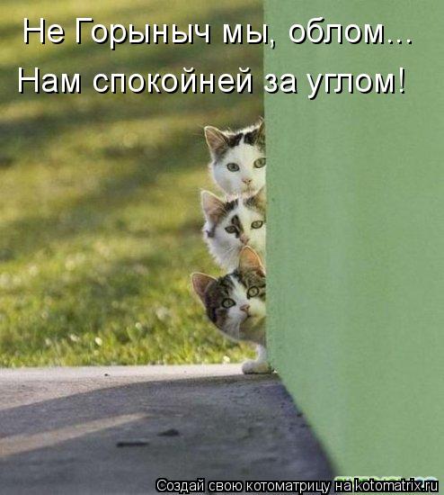 Котоматрица: Не Горыныч мы, облом... Нам спокойней за углом!