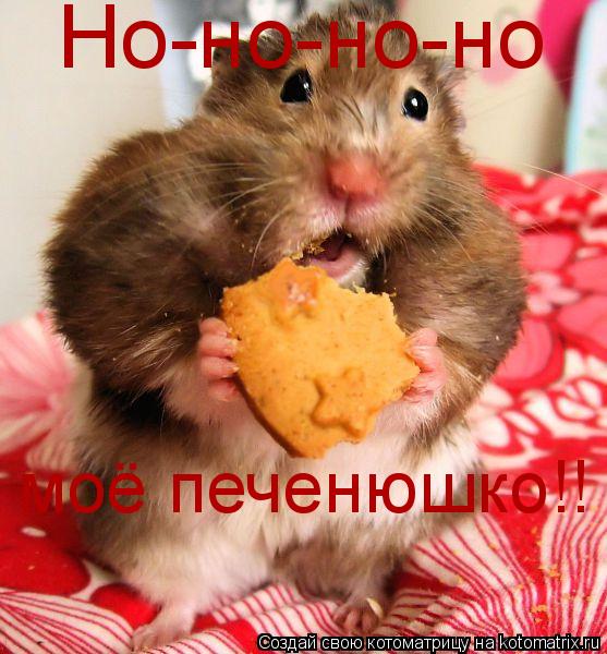 Котоматрица: Но-но-но-но моё печенюшко!!