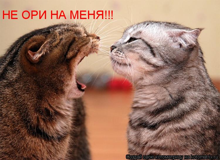 Котоматрица: НЕ ОРИ НА МЕНЯ!!!