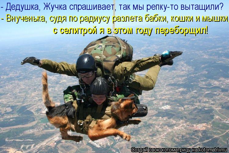 - Дедушка, Жучка спрашивает, так мы репку-то вытащили? - Внученька, судя по радиусу разлета бабки, ко... Котоматрица: - Дедушка, Жучка спрашивает, так мы репку-то вытащили? - Внученька, судя по радиусу разлета бабки, кошки и мышки, с селитрой я в этом году пере