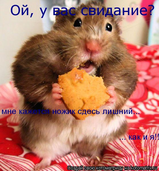 Котоматрица: Ой, у вас свидание? мне кажется ножик сдесь лишний... ... как и я!!