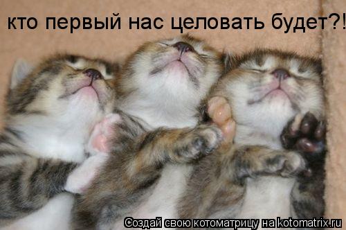 Котоматрица: кто первый нас целовать будет?!