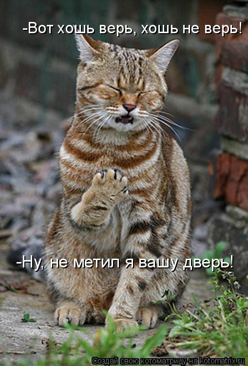 -Ну, не метил я вашу дверь! -Вот хошь верь, хошь не верь!... Котоматрица: -Ну, не метил я вашу дверь! -Вот хошь верь, хошь не верь!
