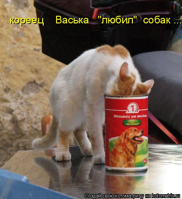 кореец Васька "любил" собак ...... Котоматрица: кореец Васька "любил" собак ...