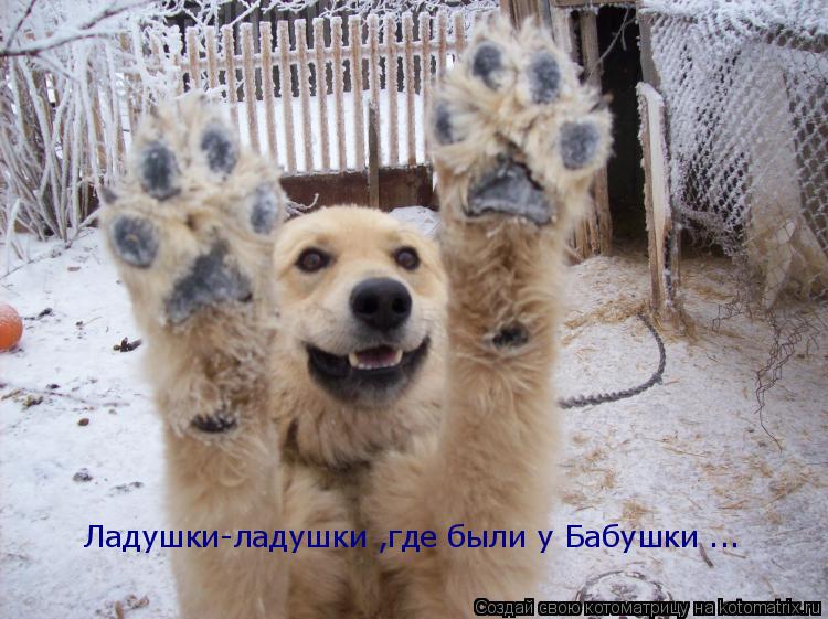 Ладушки-ладушки ,где были у Бабушки ...... Котоматрица: Ладушки-ладушки ,где были у Бабушки ...