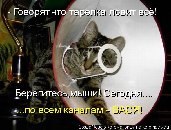- Говорят,что тарелка ловит всё! Берегитесь,мыши! Сегодня.... ...по всем каналам - ВАСЯ!... Котоматрица: - Говорят,что тарелка ловит всё! Берегитесь,мыши! Сегодня.... ...по всем каналам - ВАСЯ!