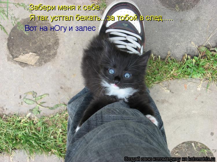 Забери меня к себе Я так усттал бежать...за тобой в след..... Вот на нОгу и залес... Котоматрица: Забери меня к себе Я так усттал бежать...за тобой в след..... Вот на нОгу и залес