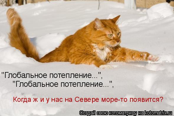 "Глобальное потепление...", "Глобальное потепление...", Когда ж и у нас на Севере море-то появится?... Котоматрица: "Глобальное потепление...", "Глобальное потепление...", Когда ж и у нас на Севере море-то появится?