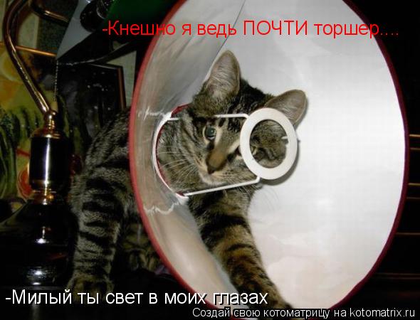 -Милый ты свет в моих глазах -Кнешно я ведь ПОЧТИ торшер....... Котоматрица: -Милый ты свет в моих глазах -Кнешно я ведь ПОЧТИ торшер....