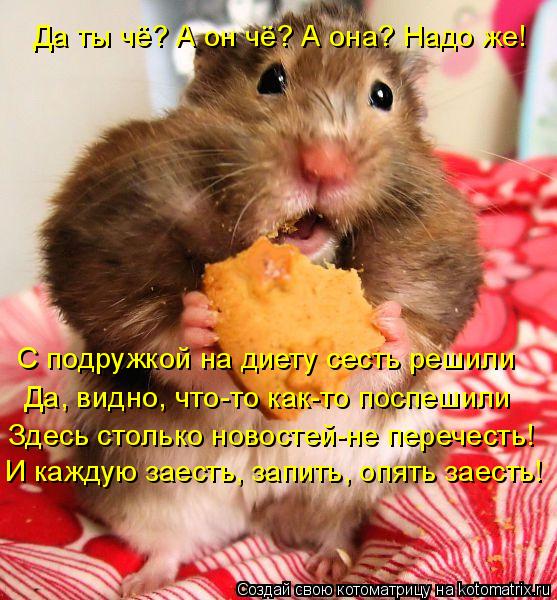 Да ты чё? А он чё? А она? Надо же! С подружкой на диету сесть решили Да, видно, что-то как-то поспеши... Котоматрица: Да ты чё? А он чё? А она? Надо же! С подружкой на диету сесть решили Да, видно, что-то как-то поспешили Здесь столько новостей-не перечесть! И ка