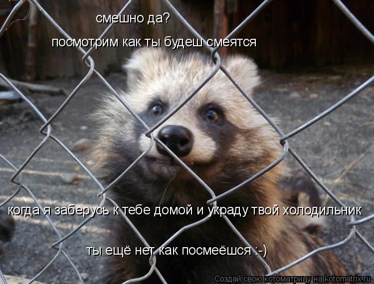 смешно да? посмотрим как ты будеш смеятся когда я заберусь к тебе домой и украду твой холодильник т... Котоматрица: смешно да? посмотрим как ты будеш смеятся когда я заберусь к тебе домой и украду твой холодильник ты ещё нет как посмеёшся :-)